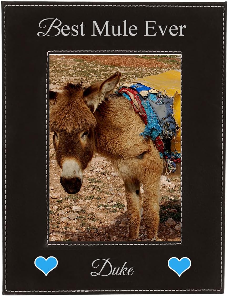 CustomGiftsNow Best Mule Ever UV Printed Black Leatherette Faux Leather Hanging/Tabletop Personalized Pet Memorial 4x6 Photo Portrait Engraved Picture Frame
