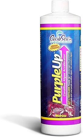 Carib Sea Purple Up Coralline Growth Accelerator