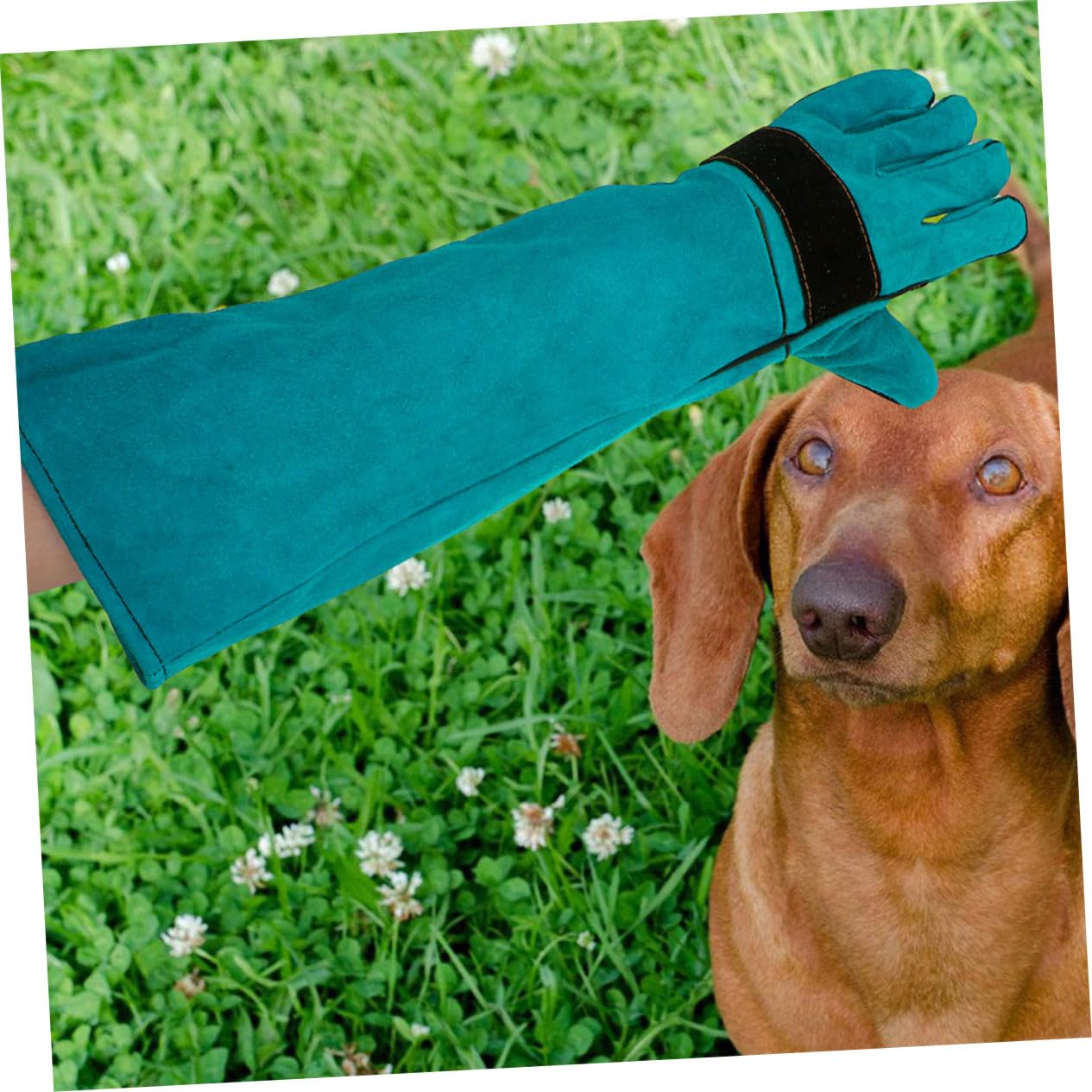 Guantes Protectores Antimordeduras para Perros y Gatos de Piel Sintética