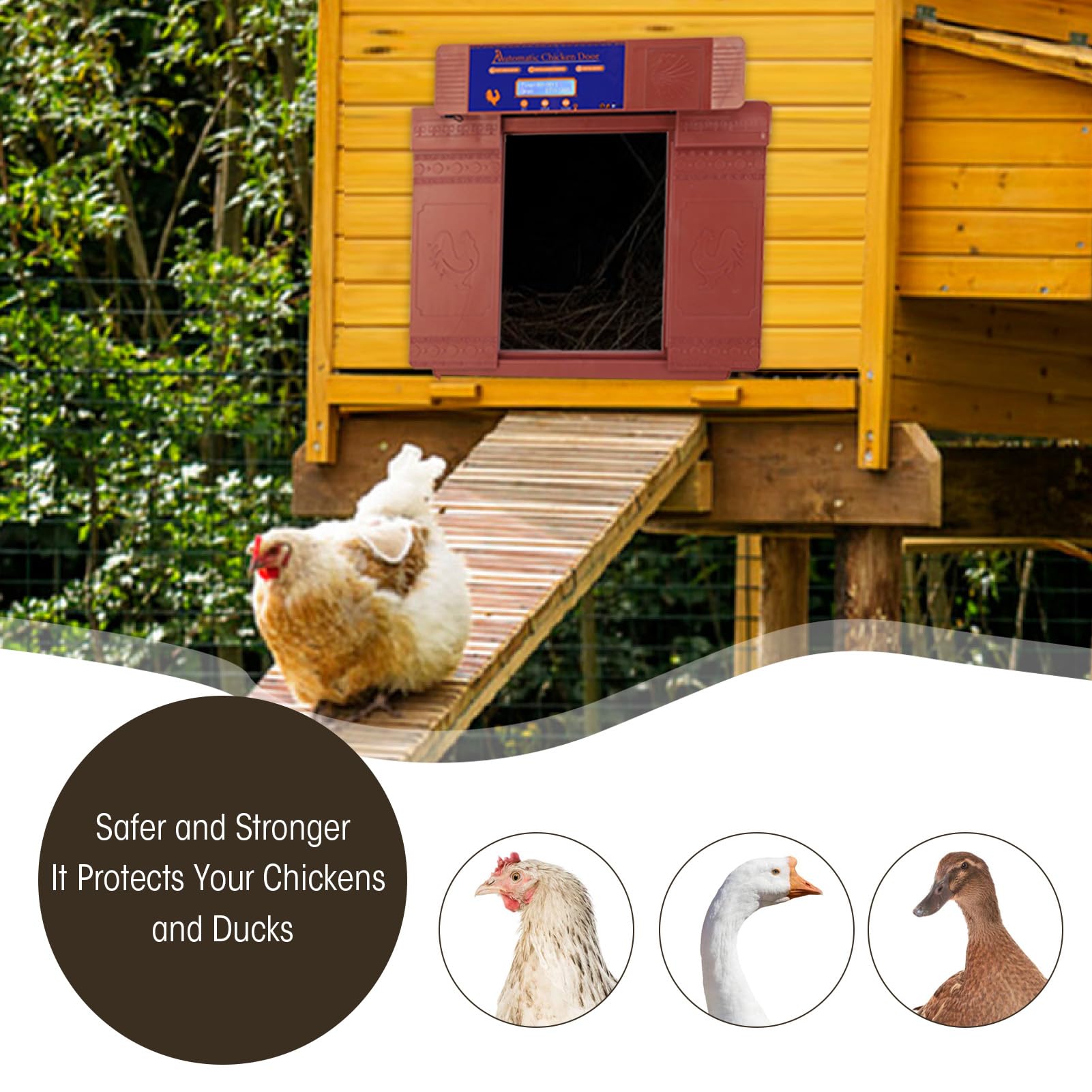 Porta automatica per pollaio con timer, apriporta elettrico per polli alimentato a batteria solare, doppie porte con display a LED per polli, anatre, oche, IP45 (Bronzo)