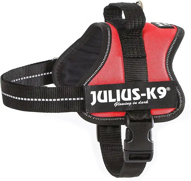 Harnais Chien Julius K-9 Power Rouge Taille S/Mini - Équipement Canin Confortable