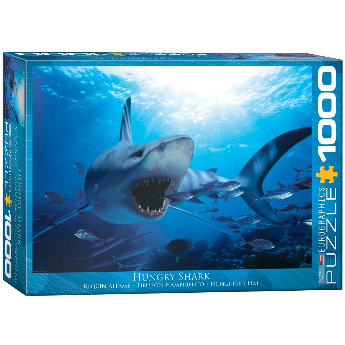Amazon.com: EuroGraphics Hungry Shark 1000 Piece Puzzle (6000-0299