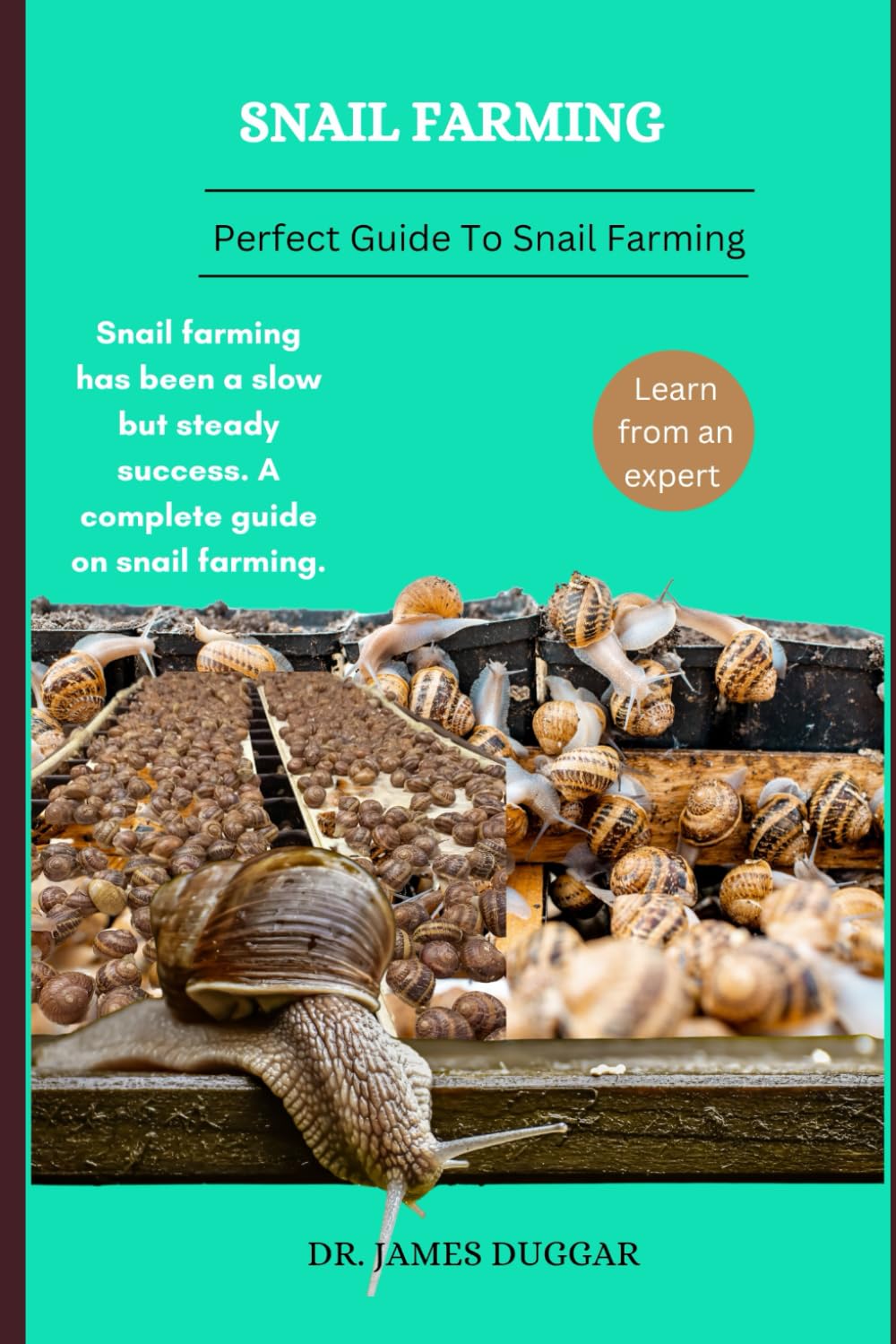 SNAIL FARMING: Snail farming has been a slow but steady success. A complete guide on snail farming.