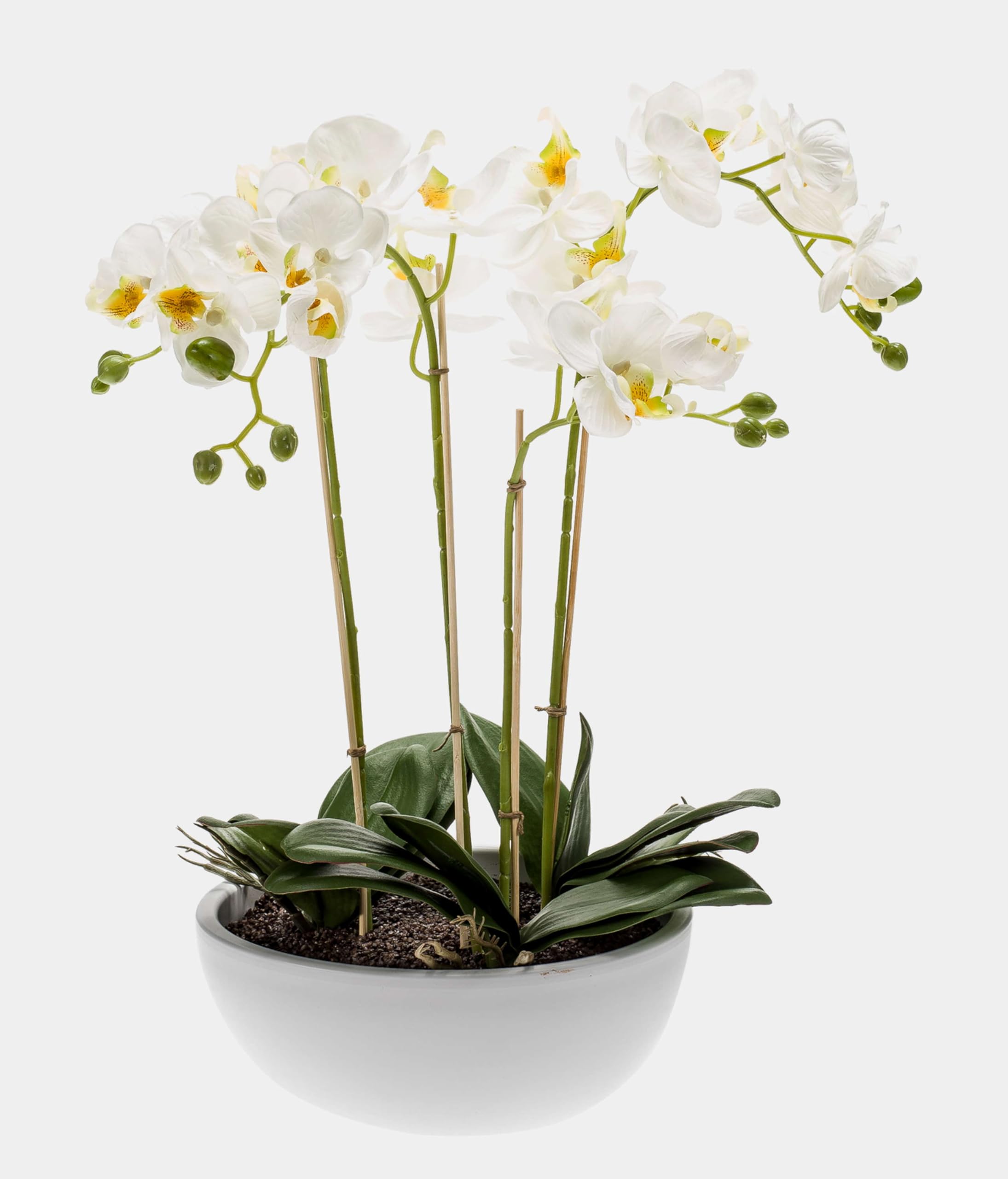 artplants Orquídea phalaenopsis Artificial Mina, Blanco, 60cm