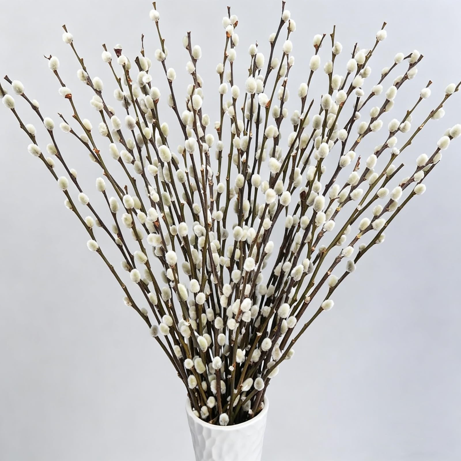 VirtuGro 40 Stems Real Dried Pussy Willow Branches