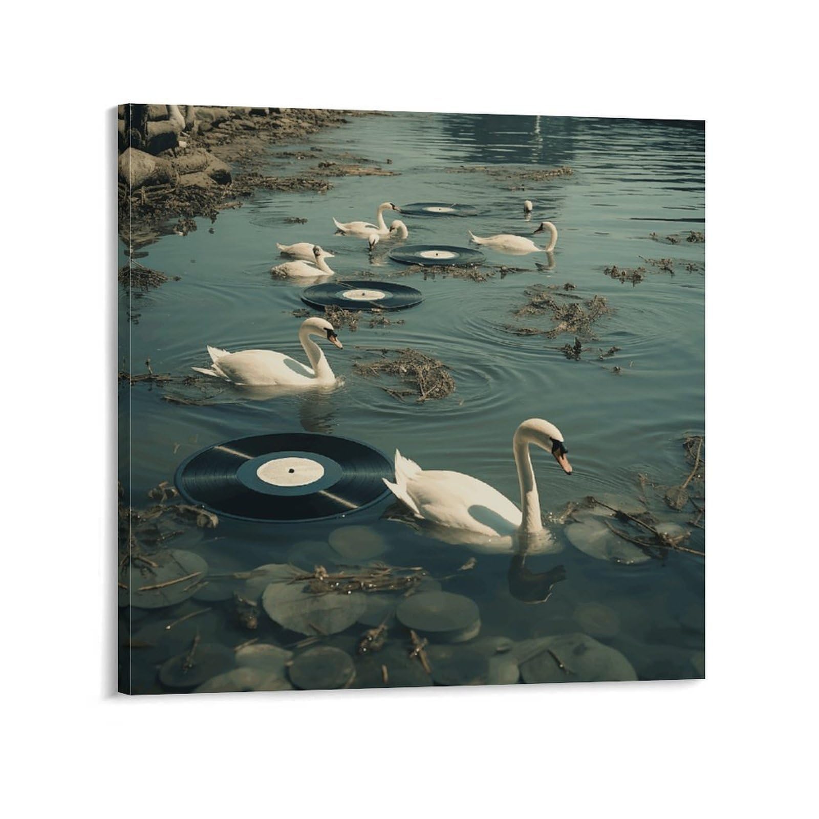 Swan And Record Canvas Wall Art for Bedroom 20x20inch(50x50cm) Canvas Prints Artwork for Walls Modern Picture Artwork Painting for Living Room Aesthetic Wall Paintings for Bathroom Kitchen Office Deco