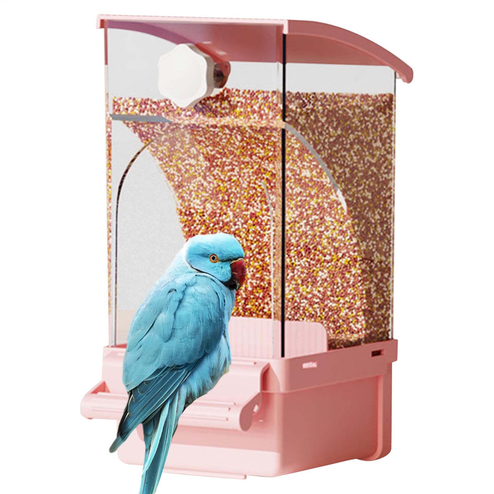 Mangeoire automatique pour oiseaux anti-gaspillage avec distributeur de traitement