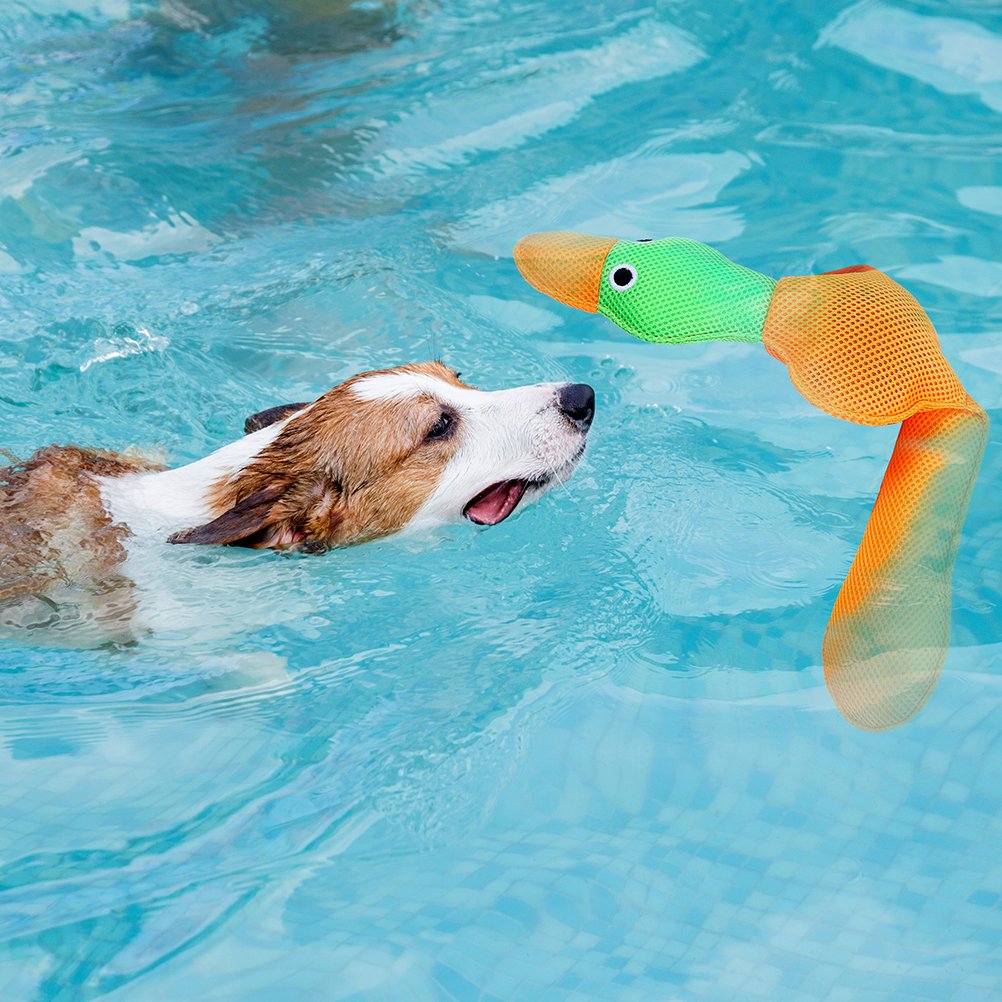 EXPAWLORER Juguetes flotantes para piscina de agua para perros, 2 unidades, color azul y naranja, para entrenamiento y masticación de mascotas, 50,5 cm