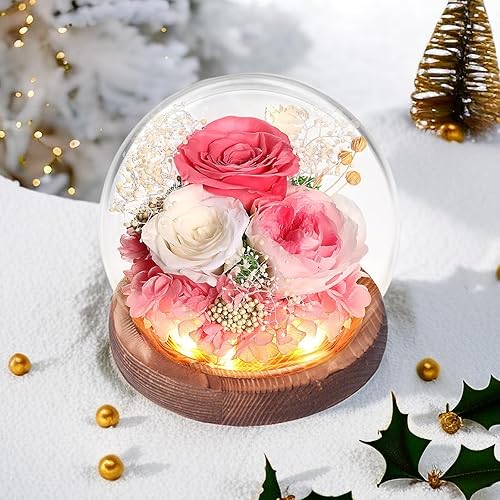 Miniatura 1 de Gardon Regalos para mujeres, rosa eterna, rosa preservada, regalos del día de San Valentín, decoraciones del día de San Valentín, regalos románticos