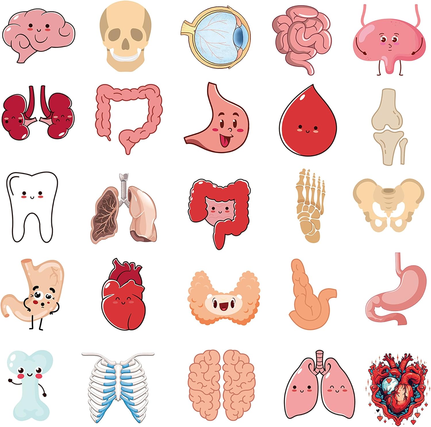 50Pcs Cute Cartoon Body Organs Stickers, Human Organ Sticker, Human Biology Student Stickers for Doctors Nurses Teacher, Vinyl Sticker for Adults Water Bottle Laptop Decor Party Favors Gifts image 2