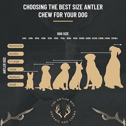 Miniatura 3 de The Antler Box Premium Deer Antler Dog Chews (1 lb Bulk Pack)  Mediano, grande y XL lleno de antídaces, larga duración, orgánico, juguetes de