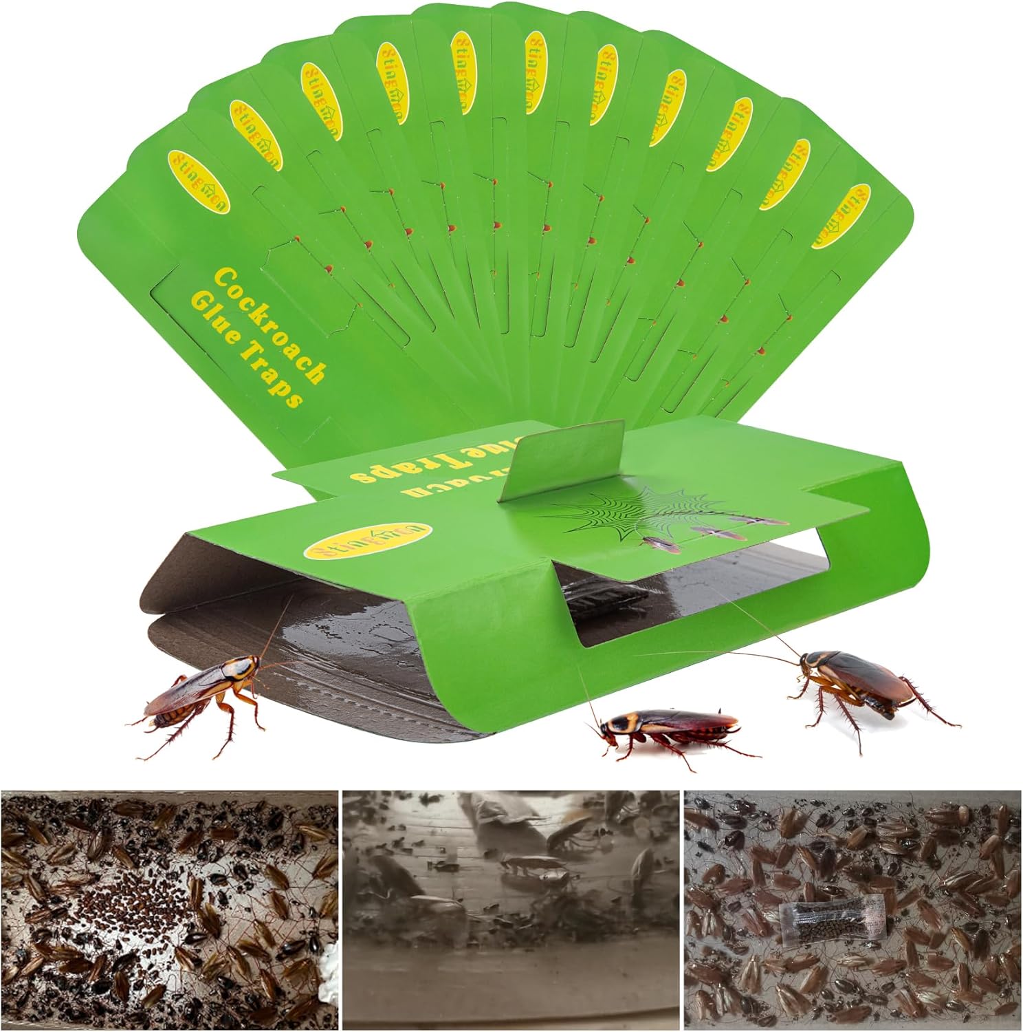 18 Pack Roach Traps Indoor Roach Killer Indoor Infestation