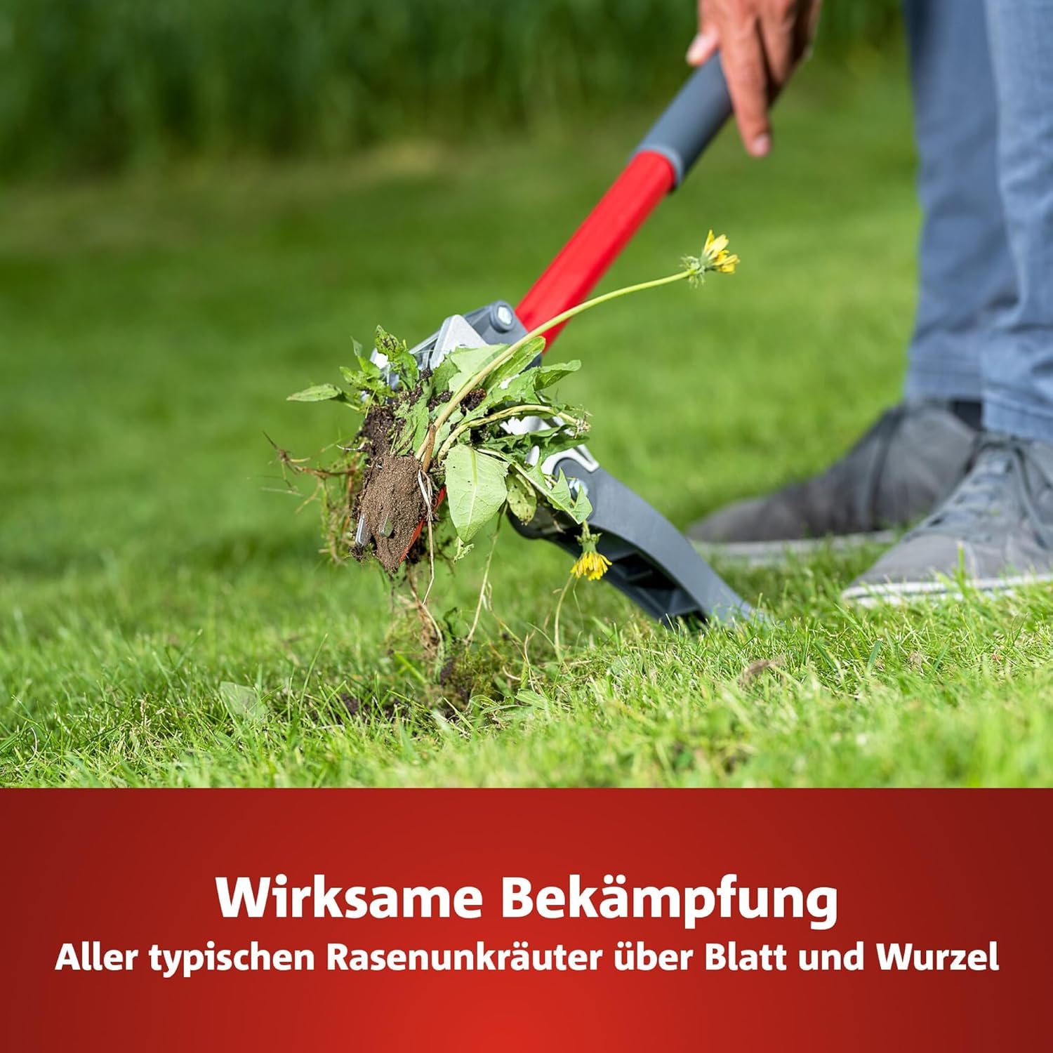 WOLF-Garten 2-in-1: Unkrautvernichter + Rasendünger SQ 500 (Rasendünger und Unkrautvernichter, wirkt über Blätter und Wurzeln, Wirkung bis zu 100 Tagen, ausreichend bis 500 m2) 3840652