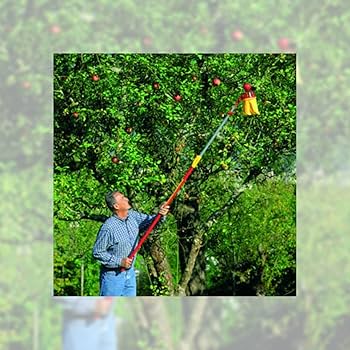 71cC9nhdnqL._AC_UF350,