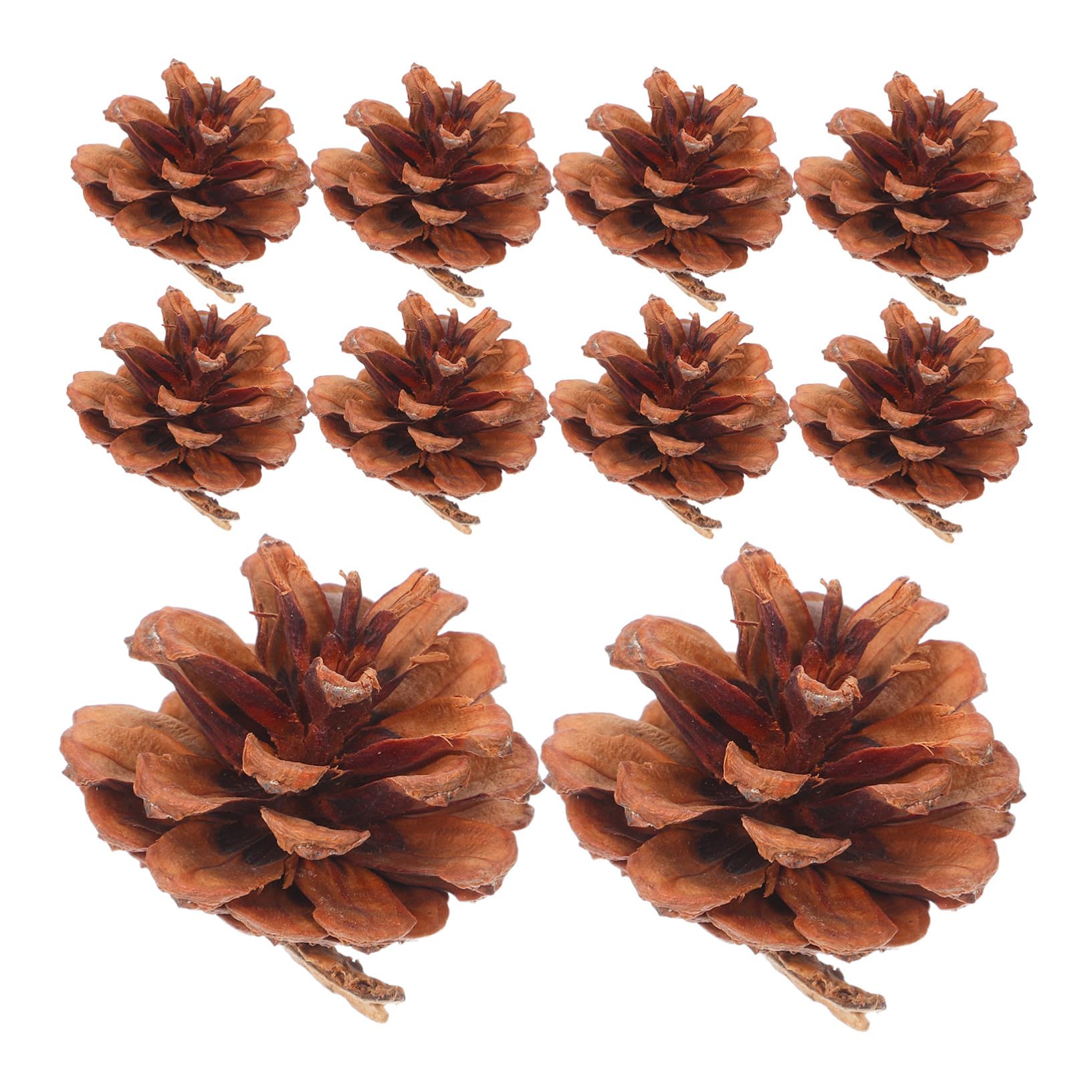 Pomme de pin bricolage et déco de table Noël : lot de 130 pièces d'hiver et Thanksgiving