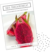 Red Dragon Fruit Seeds (Hylocereus costaricensis) - Rare Pitaya Seeds Ideal for Cultivation Indoor and Outdoor Use