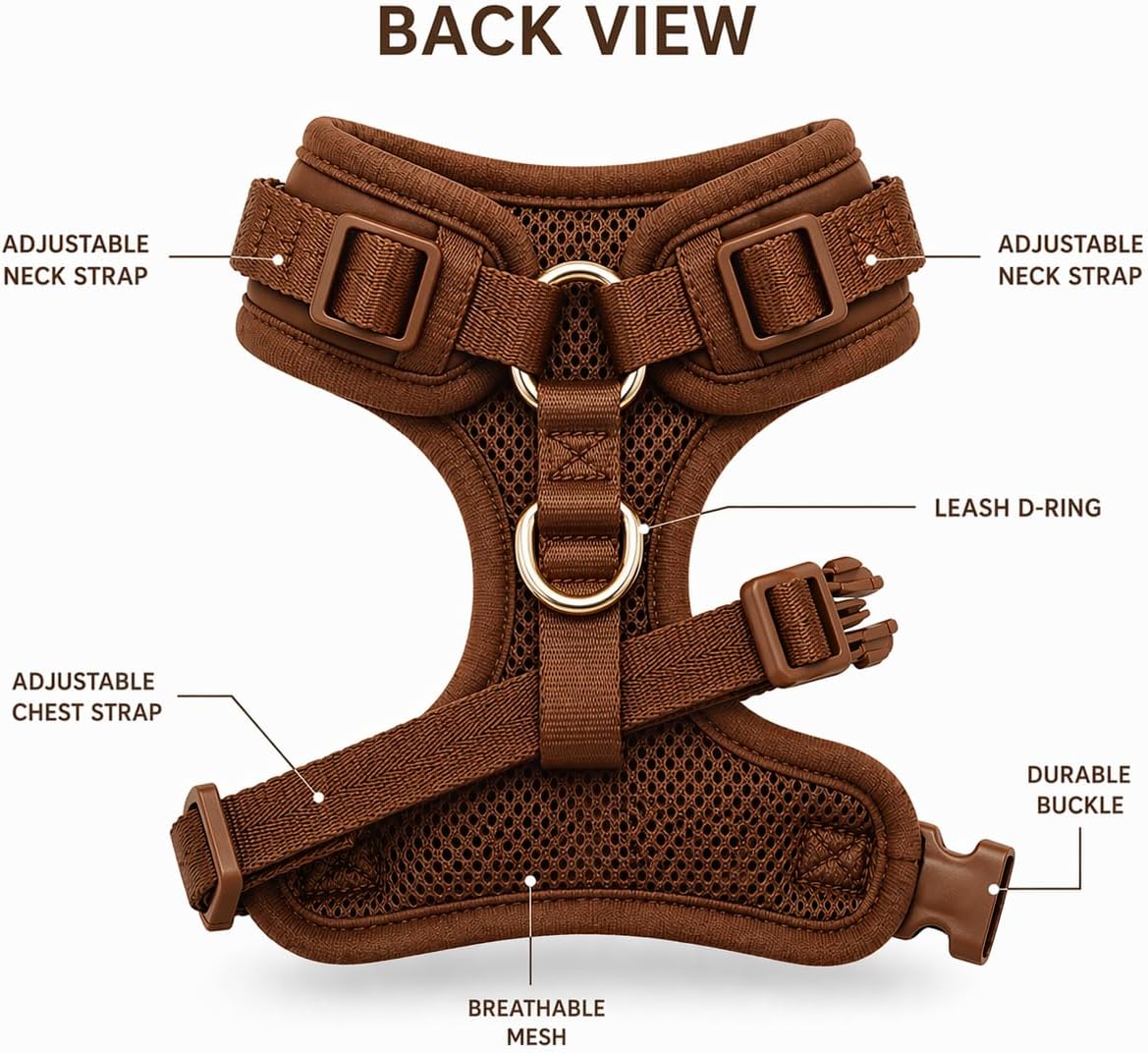 Adjustable Dog Harness and Leash Set, No Pull Soft Padded Vest Harness, Matching 5 ft Waterproof Leash, Breathable Lining, Front and Back D-Rings (Bronze Brown, Small)