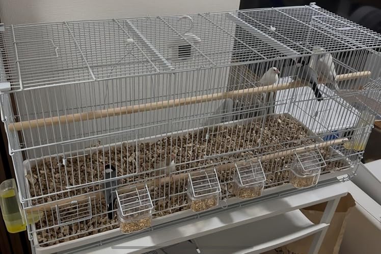 2個セット　3部屋 トリプル 鳥かご スクエアタイプ 3部屋 トリプル 鳥かご スクエアタイプ 【鳥小屋 鳥カゴ 鳥 ゲージ
