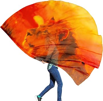 Wuchieal Porphetic Praise Dance Worship Flex Flag, radius 74" semicircle Lion Dance Ministry Streamer CGSZ#RED-YELLOW