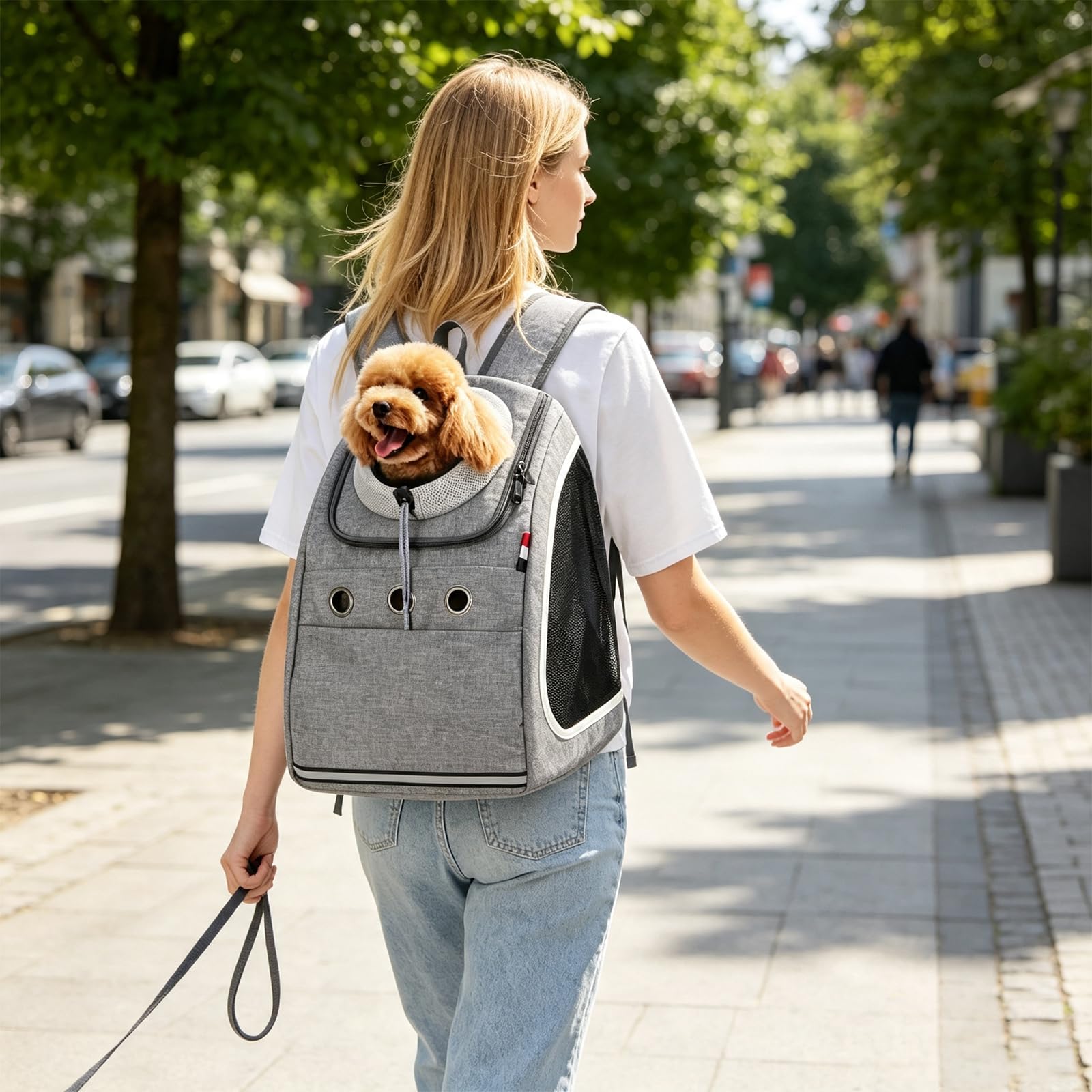 PETCUTE Zaino per cani trasporto per gatti cane piccolo borsa marsupio porta animali per viaggi, campeggio Borsa da trasporto per cani