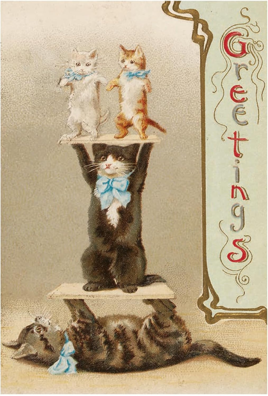 Cats of the V&A: 50 Postcards image 4