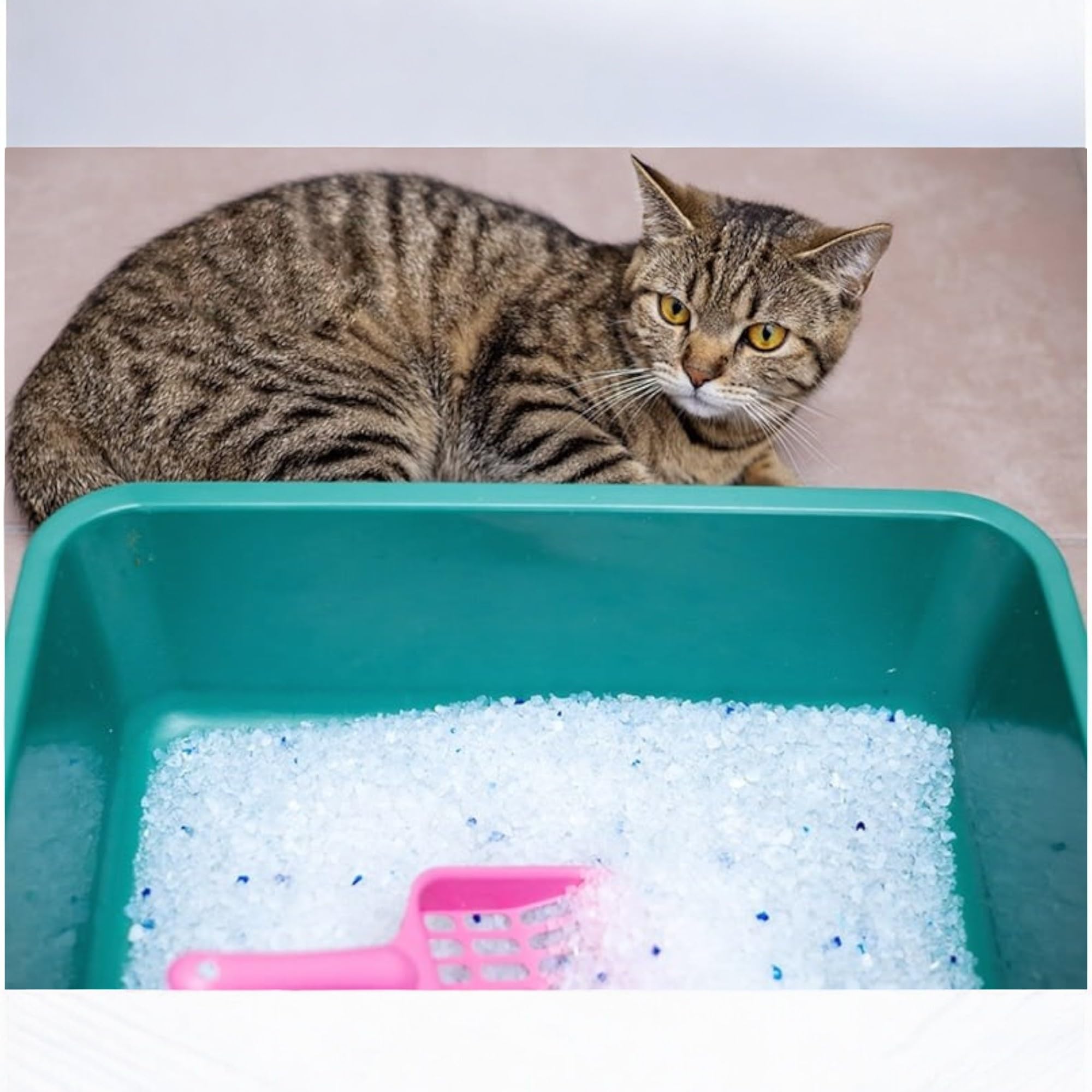Lettiera per gatti in gel di silice, 10 litri, antiodore, altamente assorbente, a lunga durata, senza polvere, ultra igienica