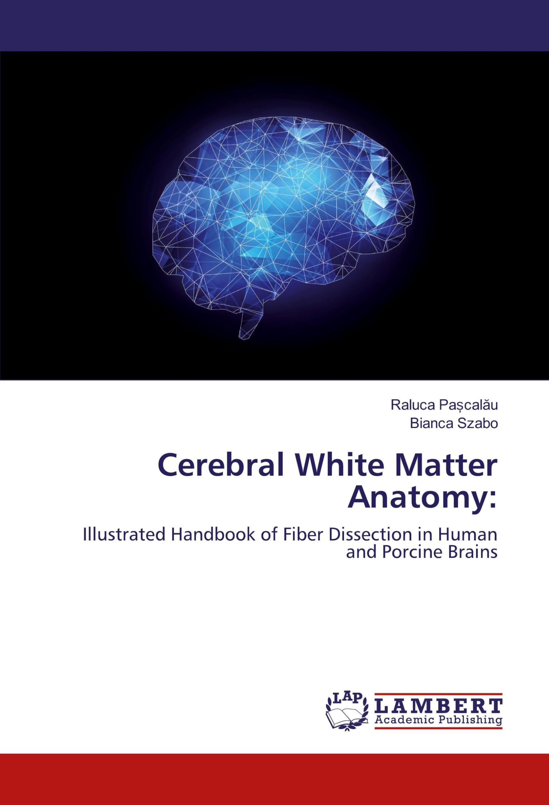 Cerebral White Matter Anatomy:: Illustrated Handbook of Fiber Dissection in Human and Porcine Brains