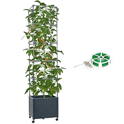 DXront Raised Garden Bed Planter Boxes with Trellis for Outdoor Climbing Tomatoes Plants 67.6