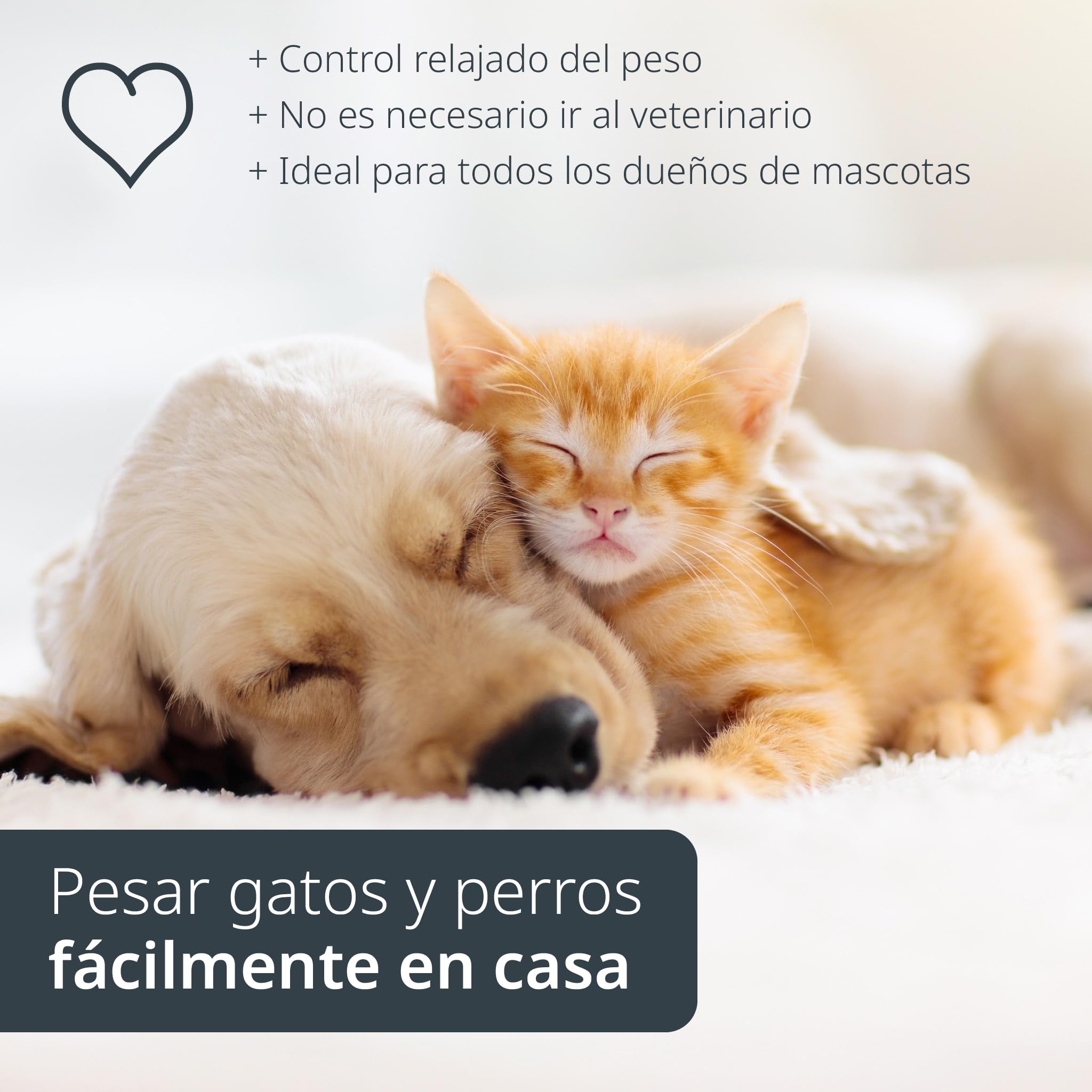 ADE Báscula digital para animales de hasta 75 kg | Báscula para perros con pasos de 50 g | para mascotas pequeñas y medianas | superficie amigable con las patas | también como báscula para gatos y