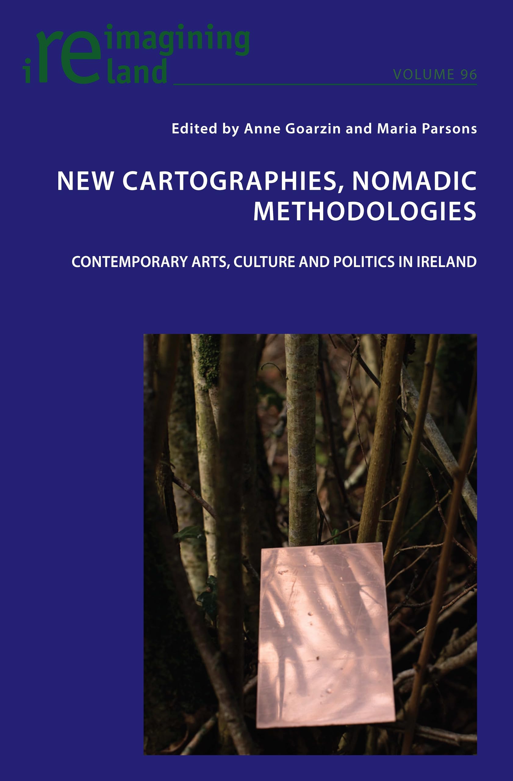 Buy New Cartographies, Nomadic Methodologies: Contemporary Arts, Culture and Politics in Ireland: 96 (Reimagining Ireland, 96) — BookShops.in