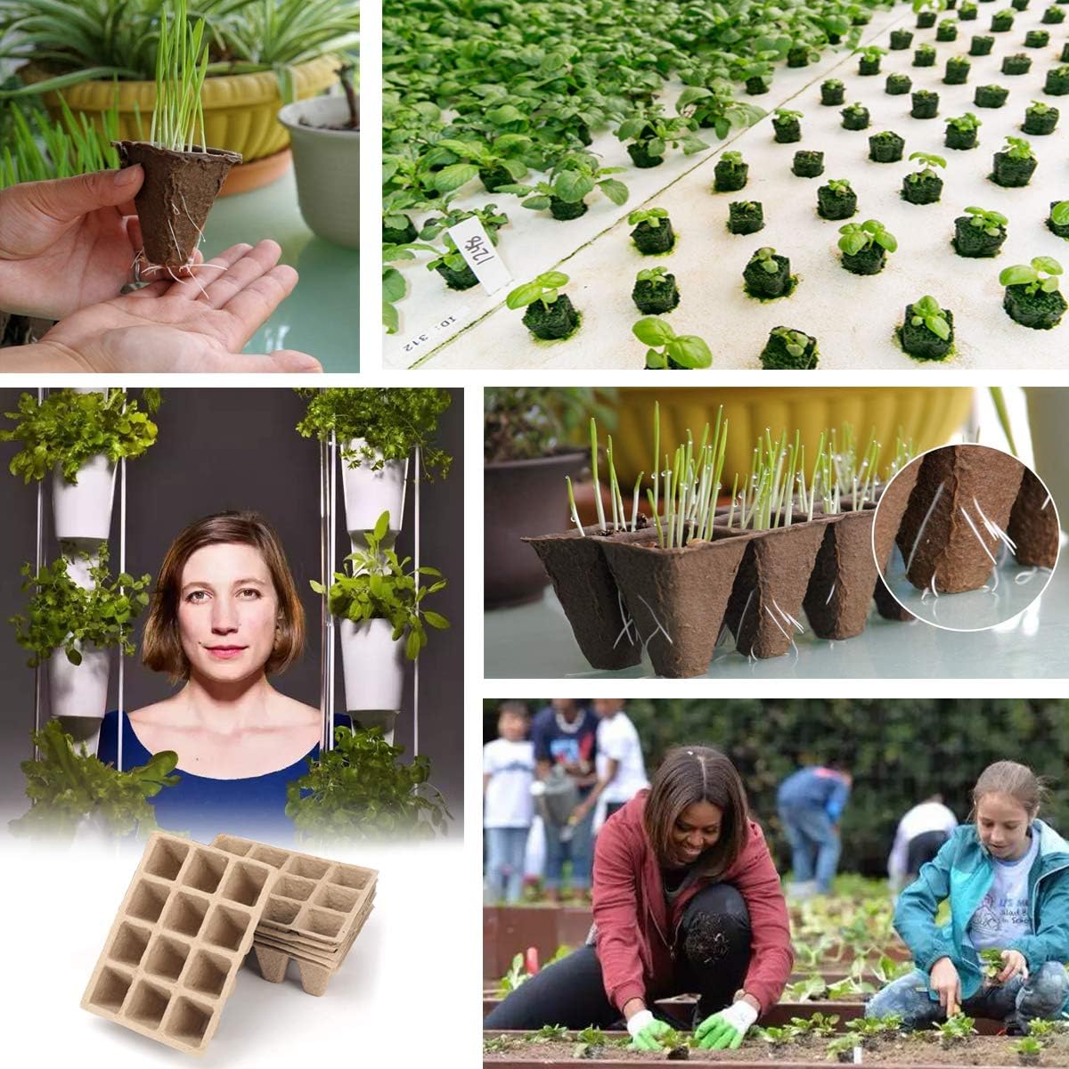 REAFOO Seed Starter Tray kit,Peat Pots for Vegetable & Flower,60 Cells Biodegradable Seedling Pots Germination Trays,Organic Plant Starter Kit with 30 Pcs Plant Labels : Patio, Lawn & Garden