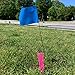 Trail Chasers Pink Survey Whiskers 6 Inch, 1000 Count – Ground Marking Flags for Surveying, Construction, Landscaping, Property Line & Trail Marking (Flags Only, No Nails)