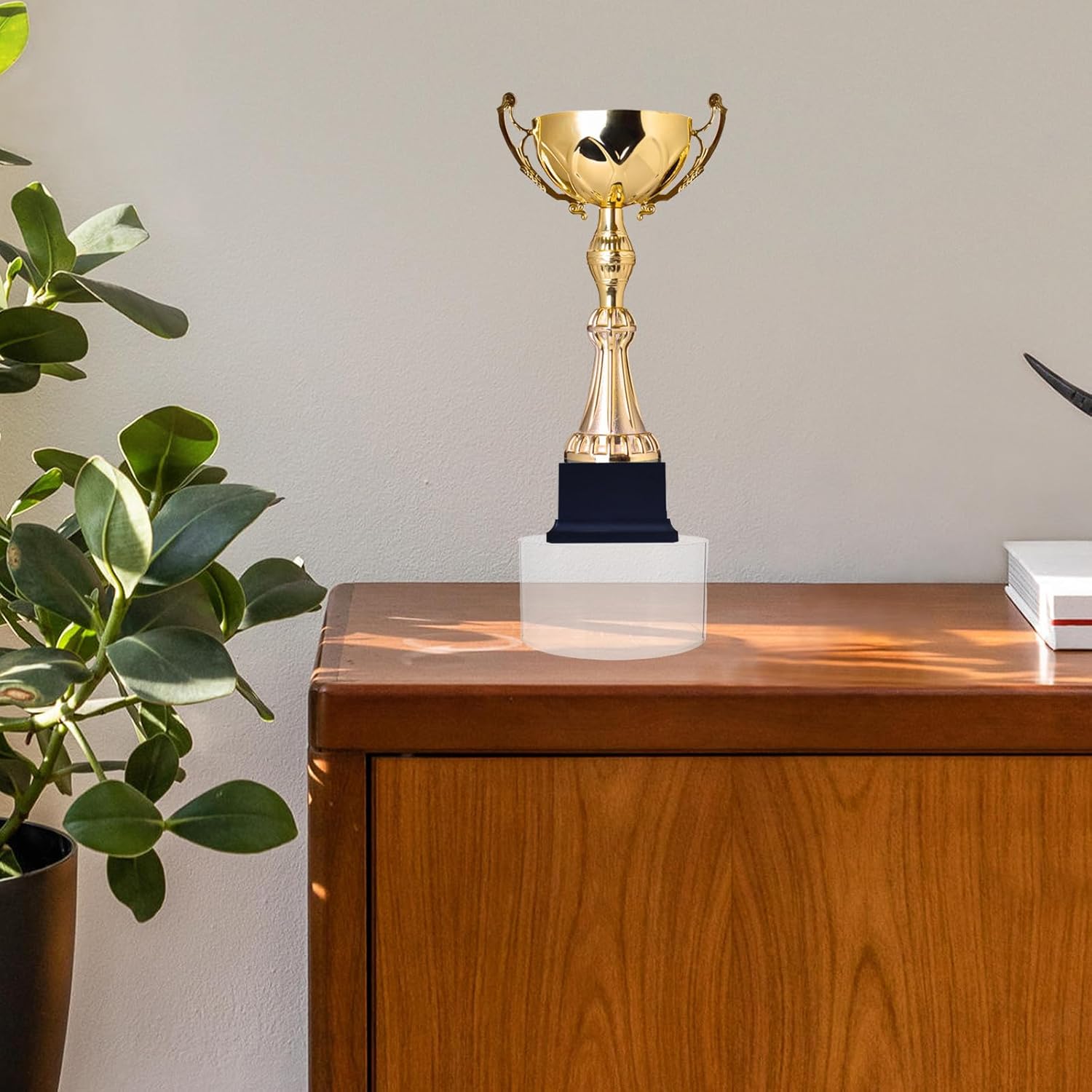 NUOBESTY 6pcs Acrylic Stands for Display - Round Tall Nesting Risers Cake Stands Tabletop Acrylic Display Shelf with Hollow Bottom for Party Buffet Food