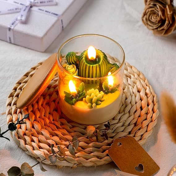 Tondiamo Succulent Cactus Candles Gift,3.15 Inch Scented Decorative Terrarium Plant Candles Votive for House Warming Wedding Baby Shower Spa Home Decoration Teacher Appreciation Mothers Gifts