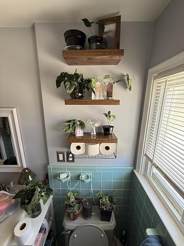 Review Image by Amazon Customer