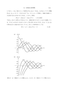 数値解析特論―偏微分方程式の近似解法 (1977年) (数理解析とその周辺〈21 数値解析特論―偏微分方程式の近似解法 (1977年) (数理解析と