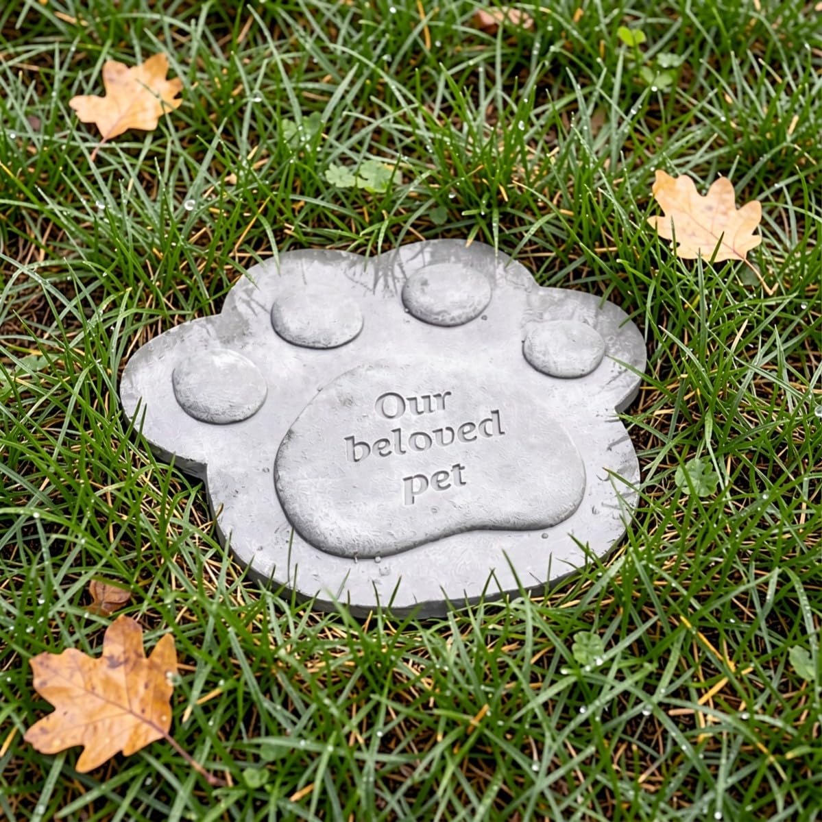 Piedra para Caminar para Mascotas Huella, Resina, Antideslizante