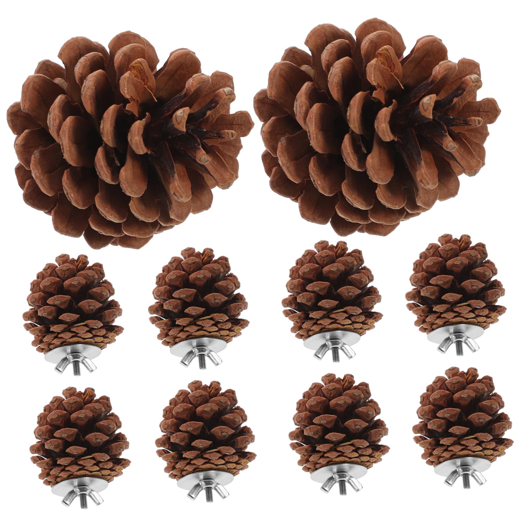 minkissy 50 piezas de juguete masticable para pájaros, juguetes de cacatúa, jaula de pájaros, juguete para mascotas, periquito, jaula de pájaros, suministros de loro, juguetes para pájaros, conos de