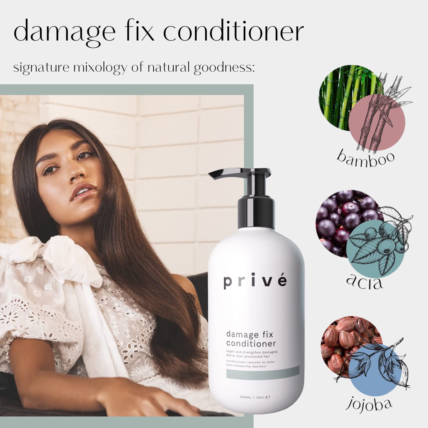 Prive Damage Fix Conditioner - Repairs Dry and Over-Processed Hair from Within Protects Future Additional - Smooths Frizz, Restores Shine, Strengthens Weak, Brittle Strands (12 Oz)