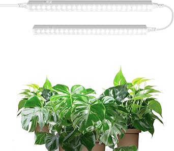 Barrina T5 1FT Grow Light Strip, 5000K White Plant Growing Lamp, 10W(2 x 5W) Linkable Full Spectrum Grow Lights for Indoor Plants, Plug and Play, Greenhouse, 2 Packs [Energy Class A]