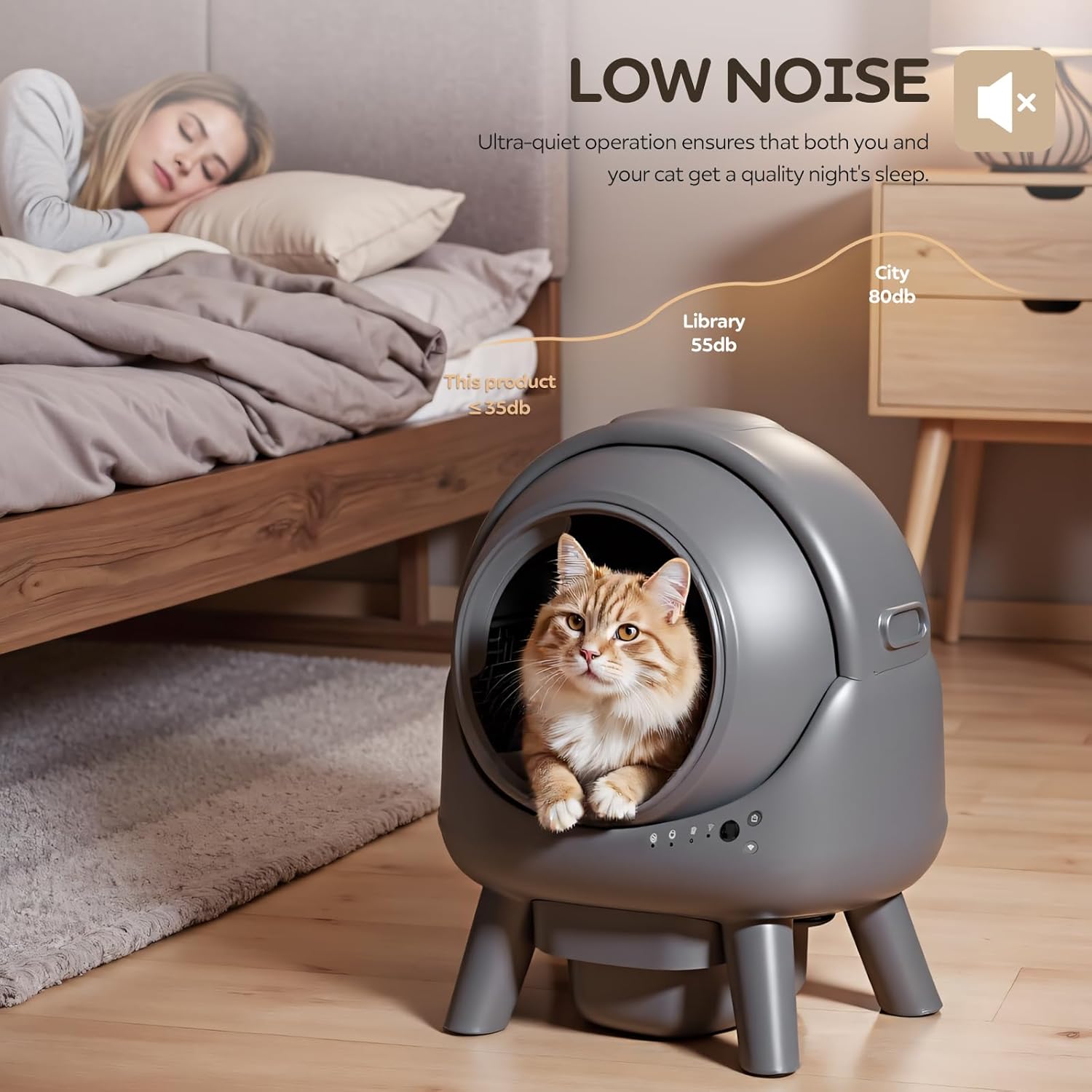 https://m.media-amazon.com/images/I/71cCf+fLzbL._AC_SL1500_.jpg