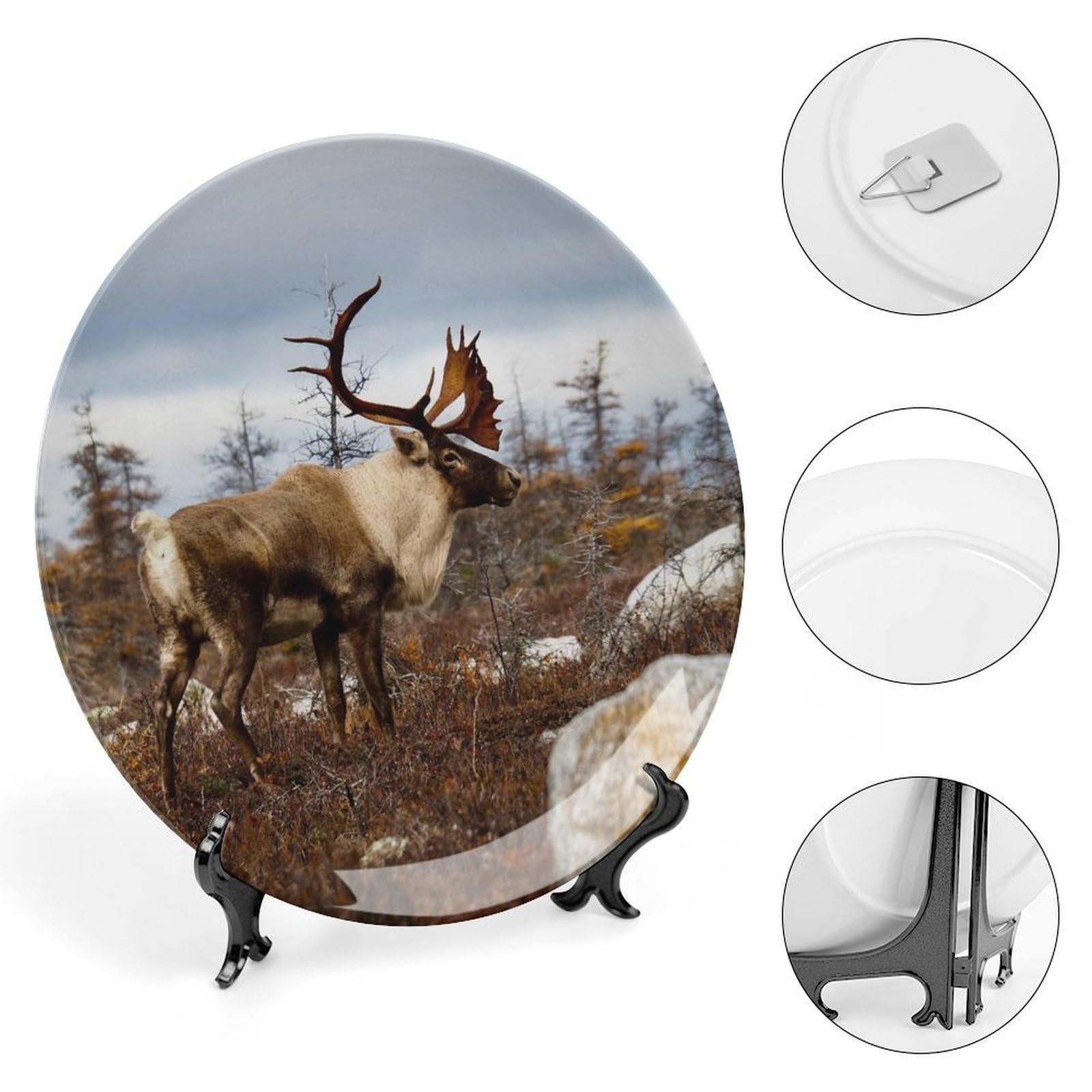 Amazon.com: Hunting Wildlife Deer Ceramic Plate, Decorative Plate
