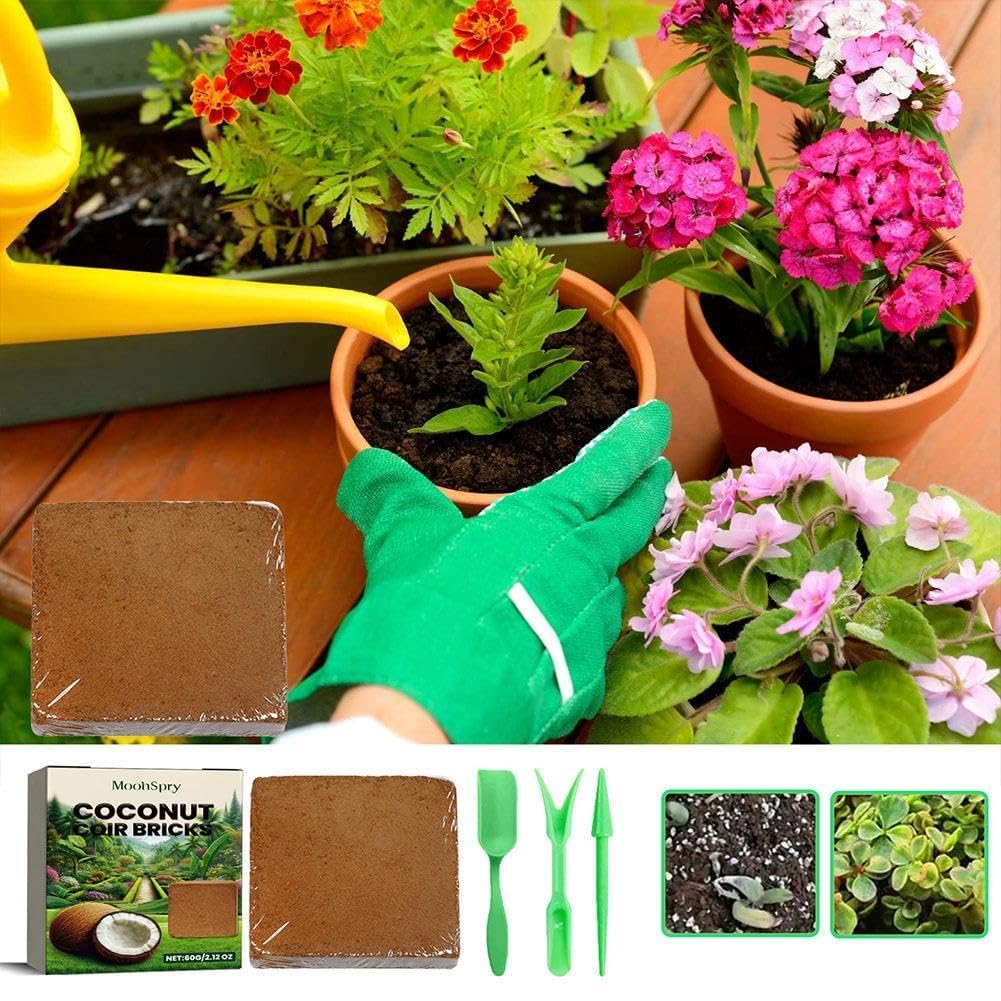 Substrato in fibra di cocco per rettili, biancheria da letto naturale per terrari per tartarughe e lucertole, forniture ecologiche per rettili, ideale per il supporto dell'habitat, 5 l