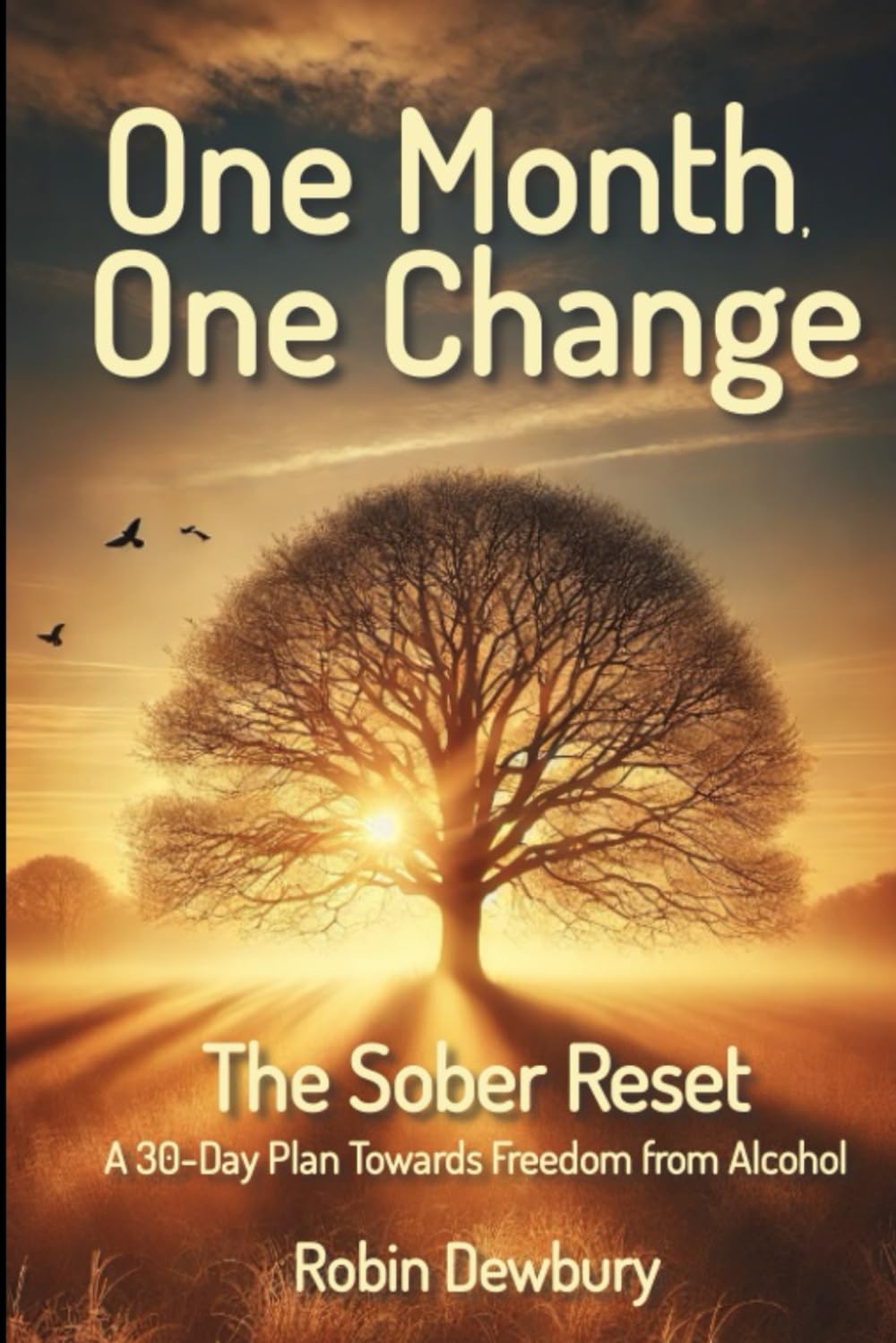 One Month, One Change: The Sober Reset: A 30-Day Plan Towards Freedom from Alcohol