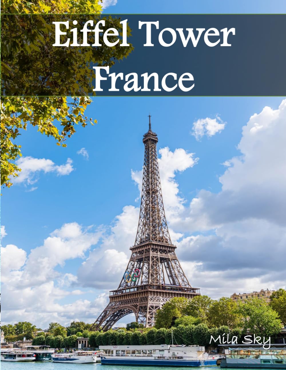 Eiffel Tower France: A Luxury Coffee Table Book of Iconic Landmarks