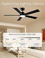 Vista 2 de Modern Ceiling Fans with Lights - 52 inch Black Outdoor Ceiling Fan with Light and Remote, Reversible DC Motor, 6-Speed Quiet 3CCT LED Dimmable for