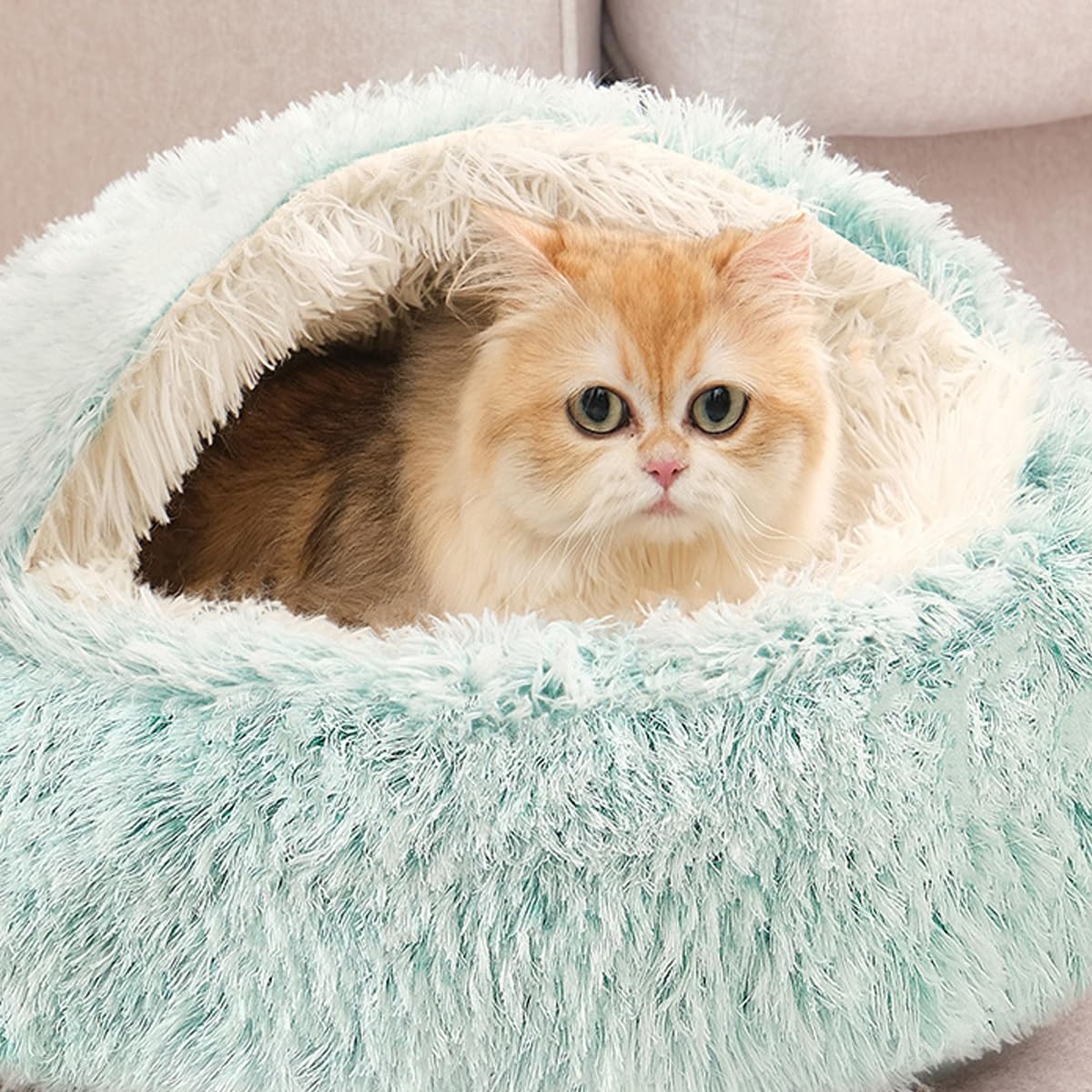 Grotte apaisante pour chat, chien et chaton en peluche moelleuse - Sac de couchage chaud en forme de tente, igloo d'intérieur chaud (vert, 80 cm)