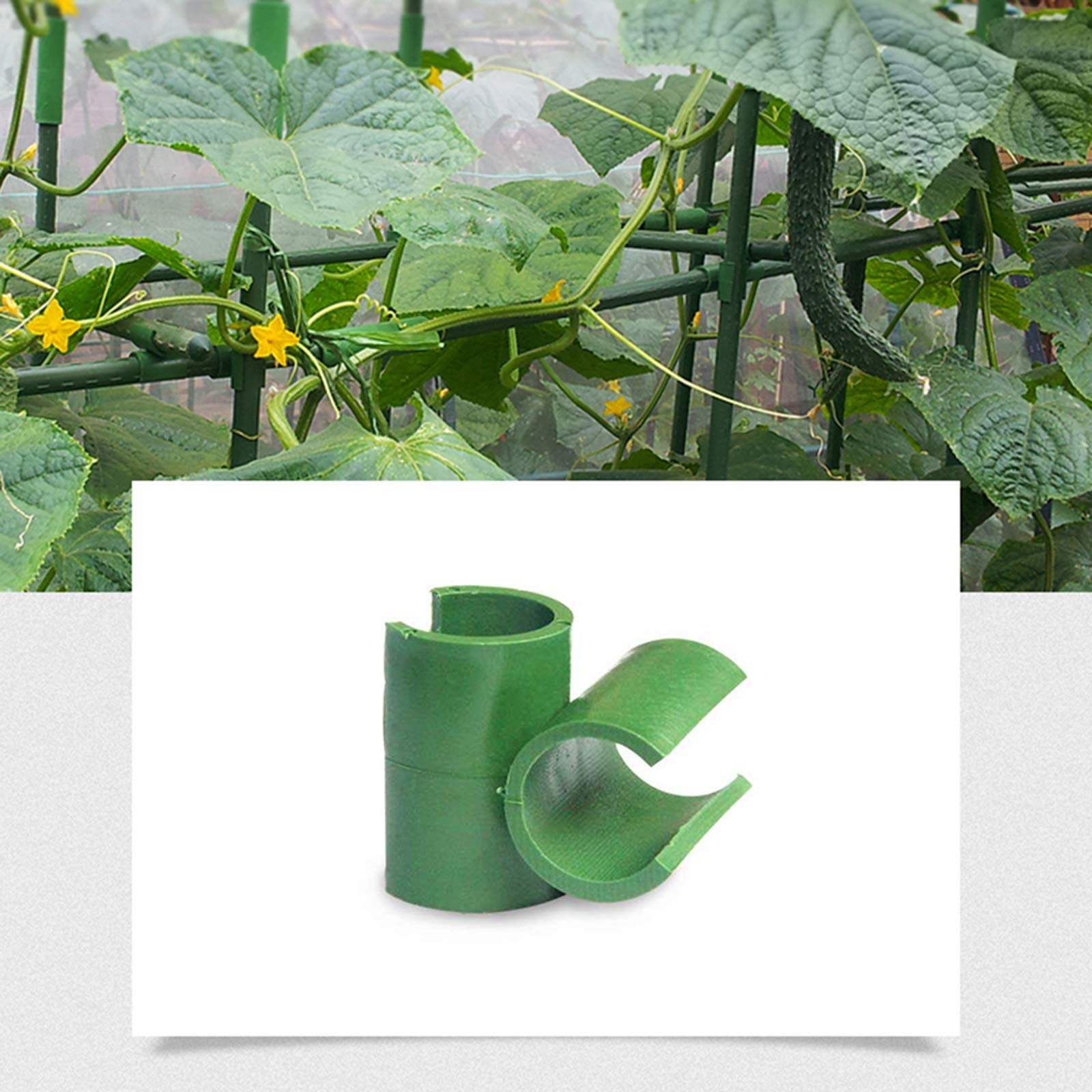 ASSR 35 Connettori Per Piante Regolabili Tipo A - Clip Da Giardino In Plastica Per Tutori E Spalliere (Diametro 16mm)