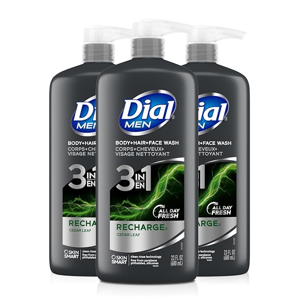 Dial Men 3 in1 Body, Hair and Face Wash