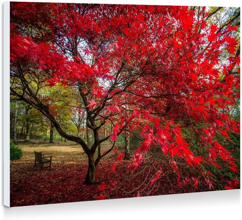 nature, Trees, Road Art Print Wall Art Modern Stretched